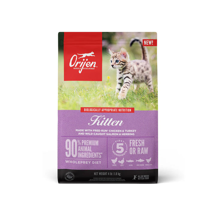 Grain Free Kitten Food
