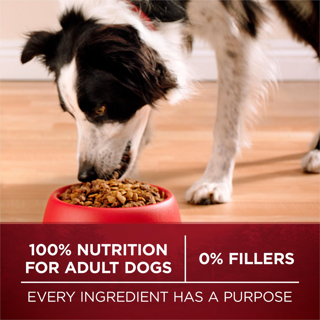 Purina ONE Natural High Protein Dry Dog Food Dry True Instinct with Real Beef and Salmon With Bone Broth and Added Vitamins, Minerals and Nutrients - 15 lb. Bag