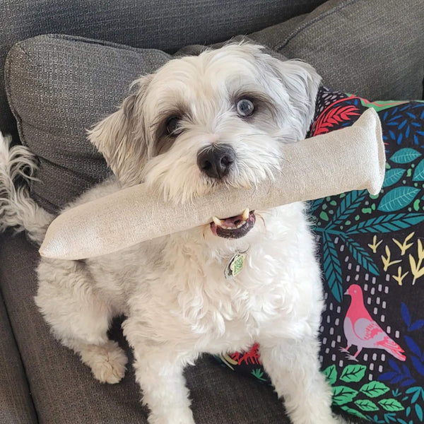 Hemp Canvas Cat Toys - Kicker