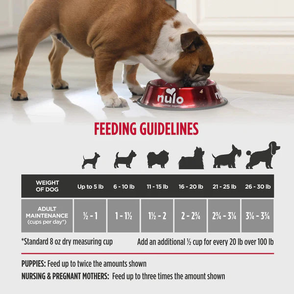 Challenger Small Breed Northern Catch