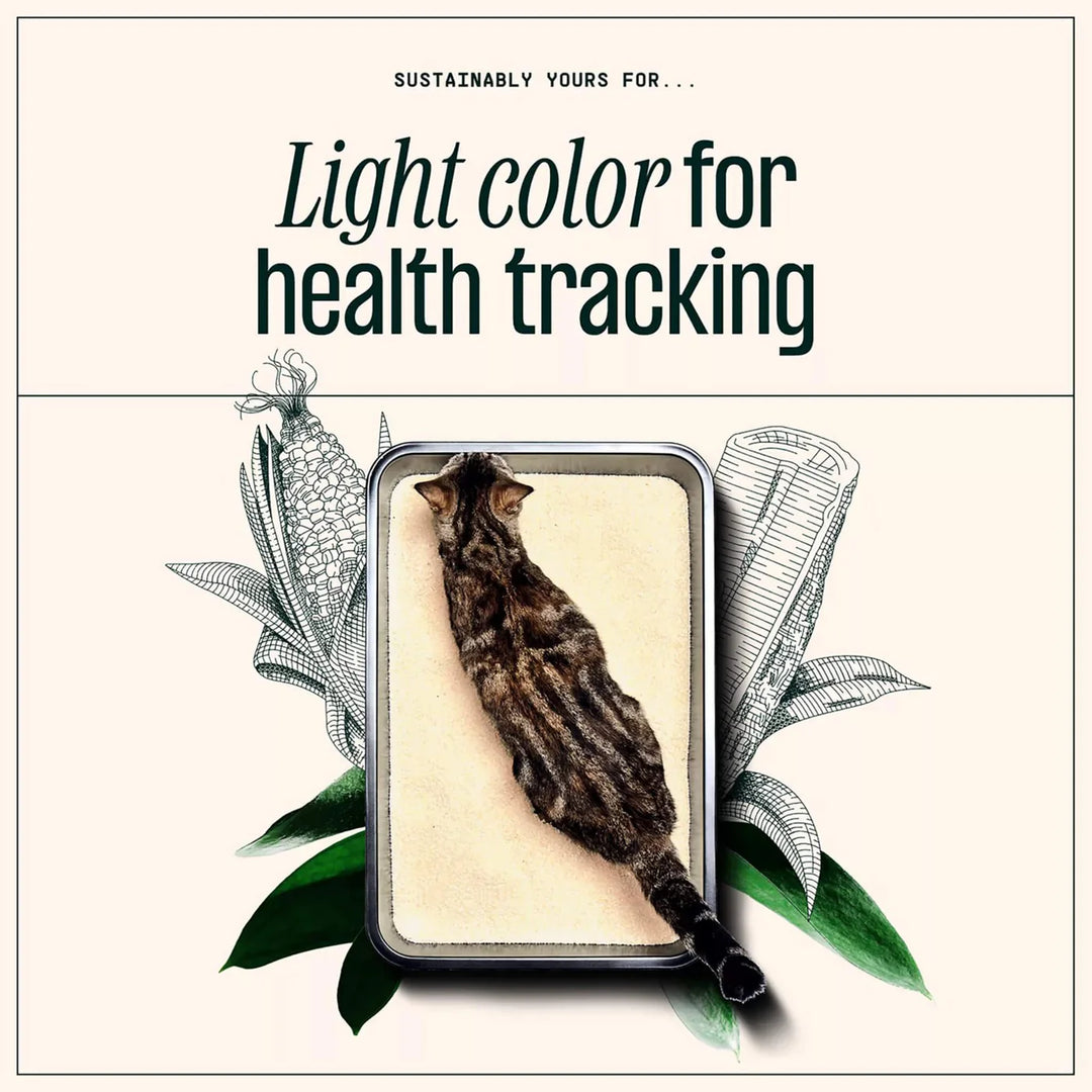 Corn & Casava Clumping Cat Litter - Mixed Grain