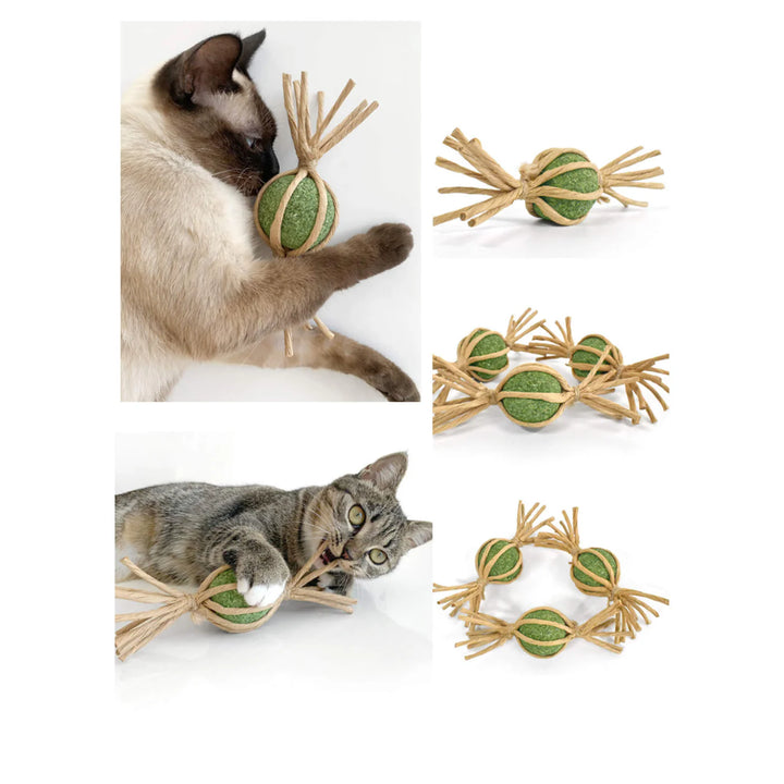 Woven Silvervine Gall Fruit Candy Cat Toy