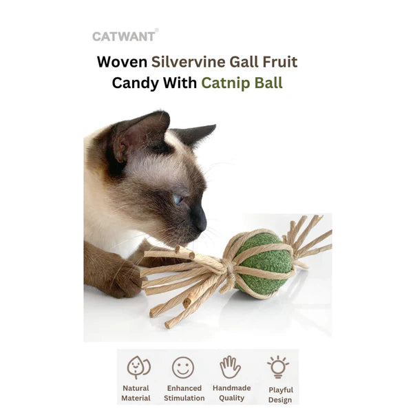 Woven Silvervine Gall Fruit Candy Cat Toy