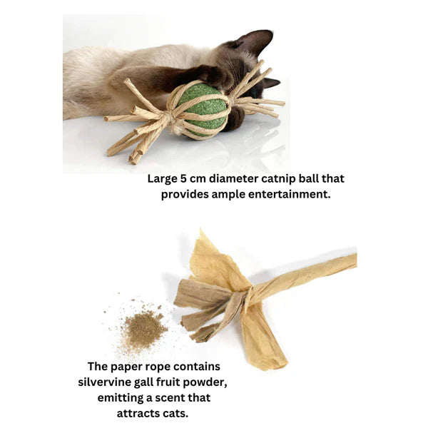 Woven Silvervine Gall Fruit Candy Cat Toy