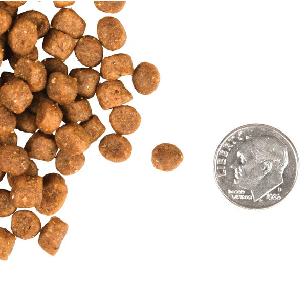 Adult Gold Dry Cat Food