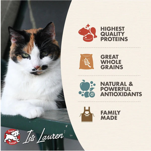 Adult Gold Dry Cat Food