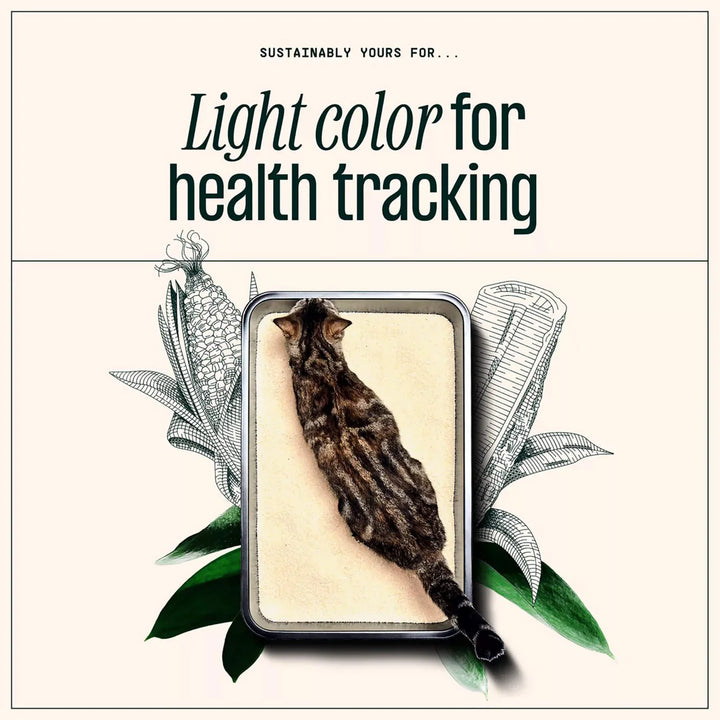 Corn & Casava Clumping Cat Litter - Large Grain