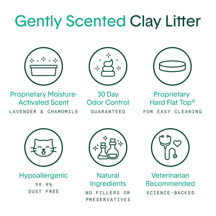 Gently Scented Natural Clumping Clay Cat Litter
