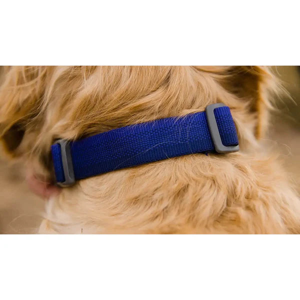 Front Range Dog Collar - Blue Pool