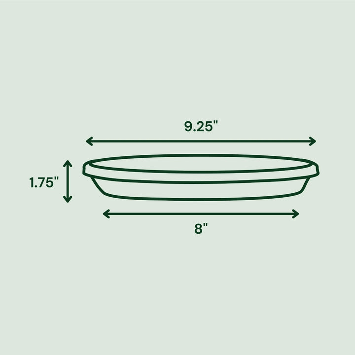 Plastic Plant Saucer Tray