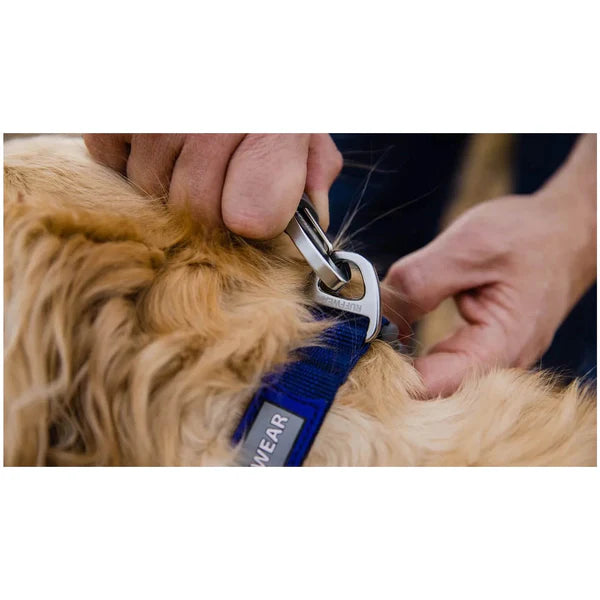 Front Range Dog Collar - Blue Pool