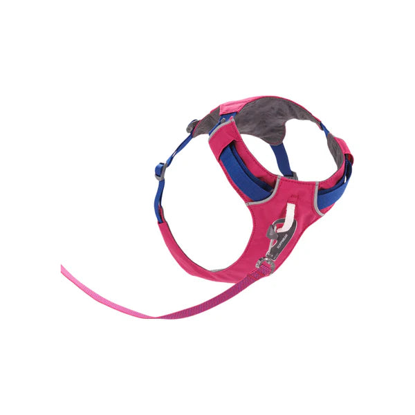 Harness for Dogs - Alpenglow Pink