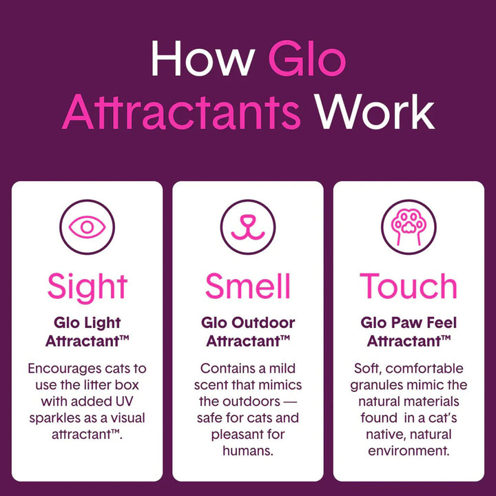 Glo Natural Attractions Clumping Clay