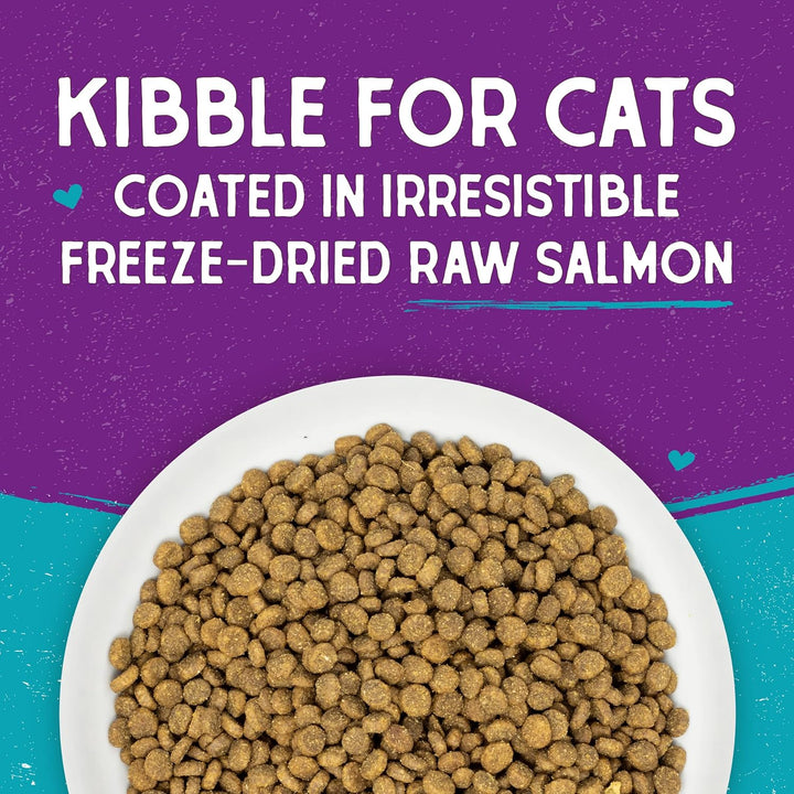 Grain-Free Raw Coated Salmon Cat Food