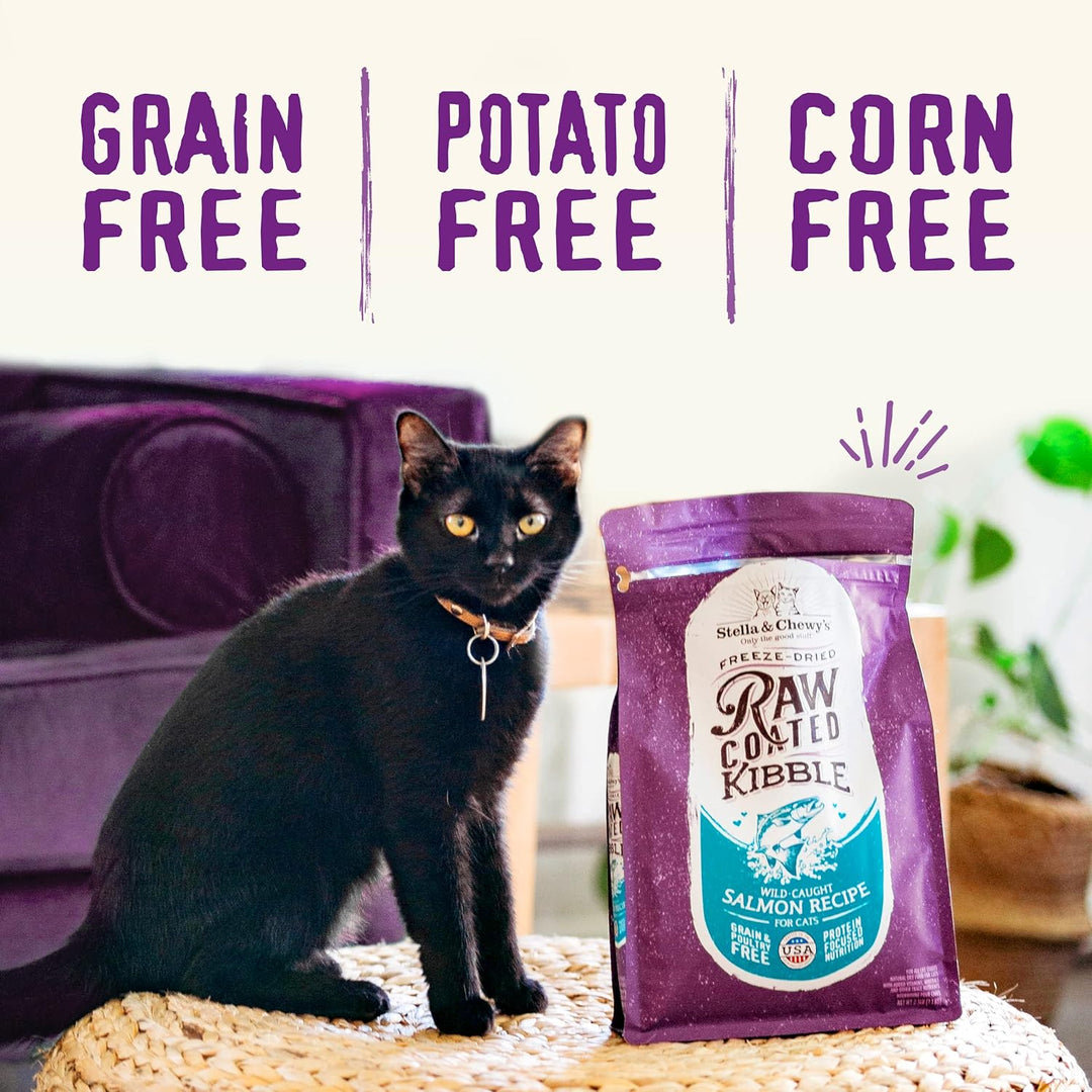 Grain-Free Raw Coated Salmon Cat Food