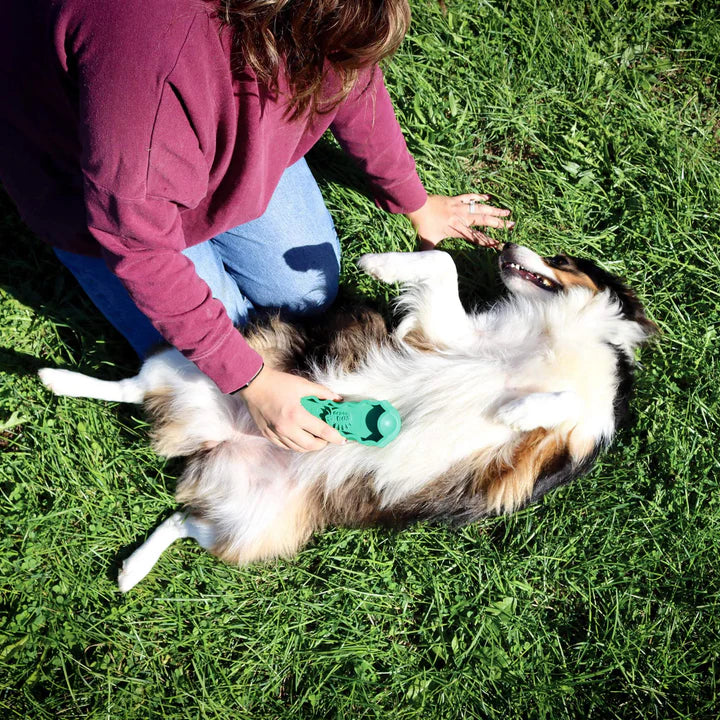 Rubber Grooming Brush for Dogs - Large